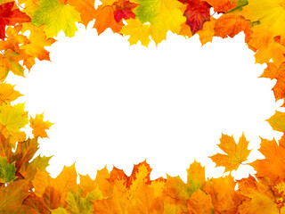 Maple autumn leaves frame on isolated white background