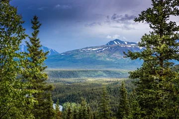 Photo sur Plexiglas Denali Impressive mountains in the Denali National Park, Alaska framed with trees