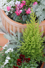 コンテナガーデン