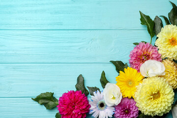 Flat lay composition with beautiful dahlia flowers on blue wooden background. Space for text