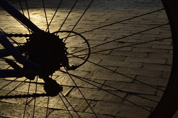 wheel in backlight
