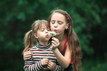 Sisters blowing dandelion seeds away in the meadow at summer.