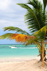 Tropical beach