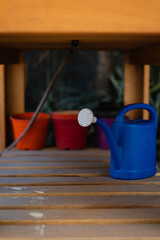 Naklejka premium primer plano de jardinera regador azul para plantas 