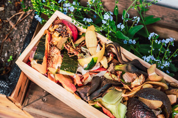 Material for composting food waste and turning it into nutrient-rich soil for plants.