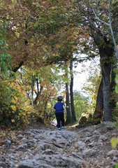 Boy walk or hike on trail in the forest in early fall