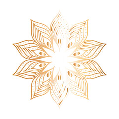 ornament in flower shaped with feathers gold vector design