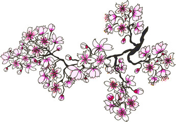 Naklejka premium hand drawn sakura flower or Cherry branches vector set.Hand drawn sakura flower or Japanese cherry blossom vector.Plum flower vector set.Peach blossom isolate on white backgroud