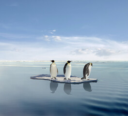 Global Warming
