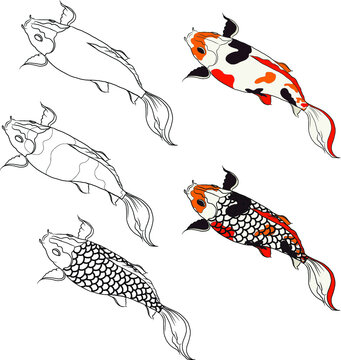 Koi Fish Drawing Images – Browse 26,345 Stock Photos, Vectors, and Video