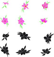 Hand drawn sakura flower or Japanese cherry blossom vector.Plum flower vector set.Peach blossom isolate on white backgroud