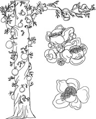 Hand drawn Sal tree isolate vector,cannonball tree tropical flowers in blossom on a branch,Tree of Buddha born