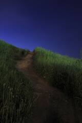 夜の小径