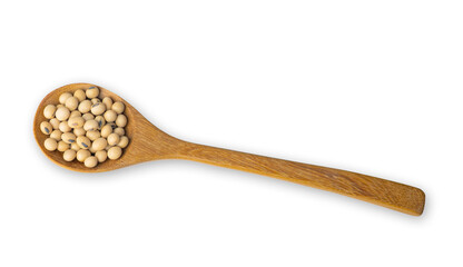soybean isolated on white background