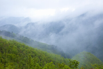 雨上がりの山麓