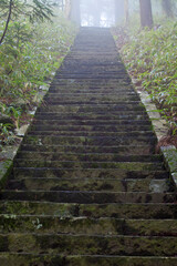 Obraz premium 朝もやの石段