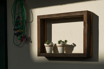 Two potted plants placed in a wooden frame with a white wall in the background. Morning light