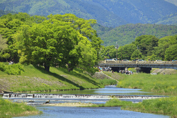 春の京都鴨川