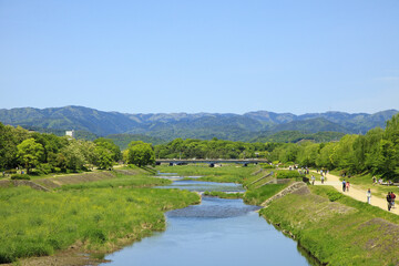 Fototapeta na wymiar 春の京都鴨川