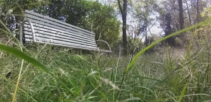 banca solitaria en pandemia