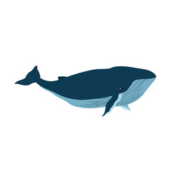 Obraz premium Isolated whale animal vector design