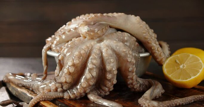 Raw octopus with lemon slowly rotates.