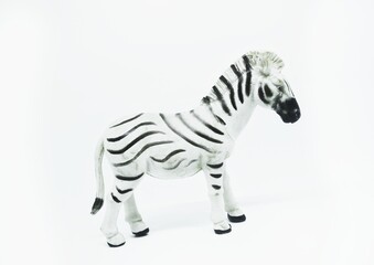 Fototapeta na wymiar Zebra rubber toys, Isolated on white background. Rubber animals toys for kids. Wild animals. 