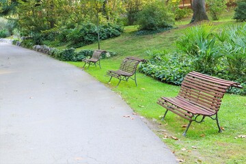 several benches in the park next to the pathway, no people, green, grass, relax