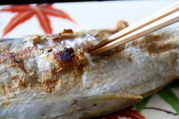 魚　アユ　和食　箸