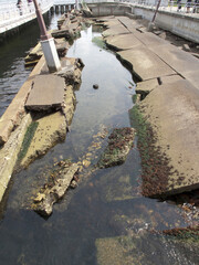 神戸港震災メモリアルパーク