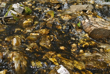 stones in water