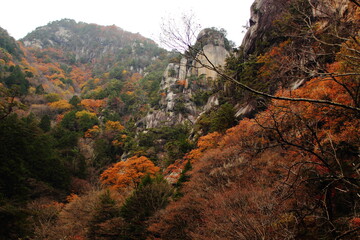 御岳昇仙峡の紅葉風景