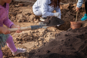Burying the seedling into the ground. Planting plants in the park. 