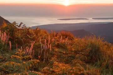 Mountain valley during sunrise. Natural summer landscape
