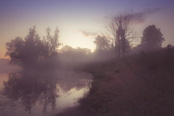 Fototapeta na wymiar misty morning in the forest