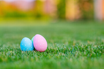 Painted Easter eggs lie on the green grass. Easter still life