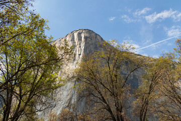Fototapeta na wymiar El Capitan, Yosemite National Park, California