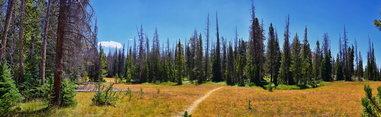 Lake Cuberant hiking trail views of ponds, forest and meadows around Bald Mountain Mount Marsell in Uinta Mountains from Pass Lake Trailhead, Utah, United States.