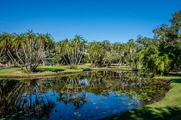 Fototapeta na wymiar Florida Pond 4