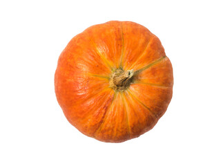 Top view of a large pumpkin isolated on a white background.