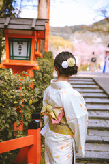 Girl / woman Wearing Kimono in Kyoto, Spring  Japan