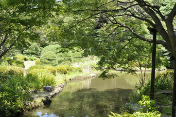 新江戸川公園