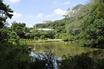 Fototapeta na wymiar 新江戸川公園