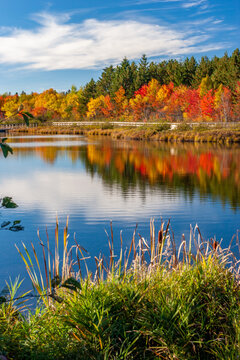 michigan fall desktop wallpaper