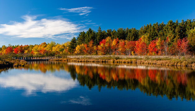 michigan fall desktop wallpaper