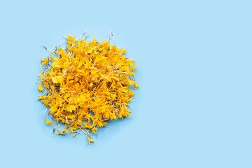 Marigold flower petals on blue background.