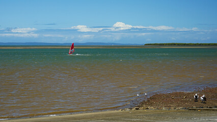 Seascape with windsurfer and seagulls at Wellington Point, Stradbroke Island in the distance.