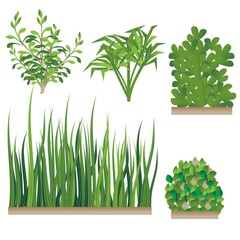 Realistic Grass and Bushes Set