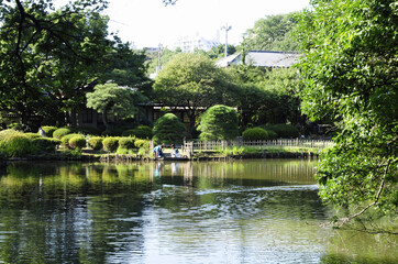 Fototapeta na wymiar 新江戸川公園の池