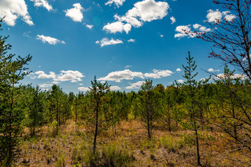 Laurentians parks and wildlife reserves